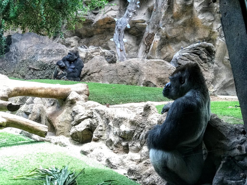 loro parque