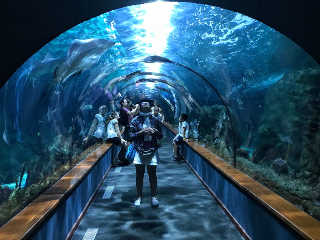 loro parque
