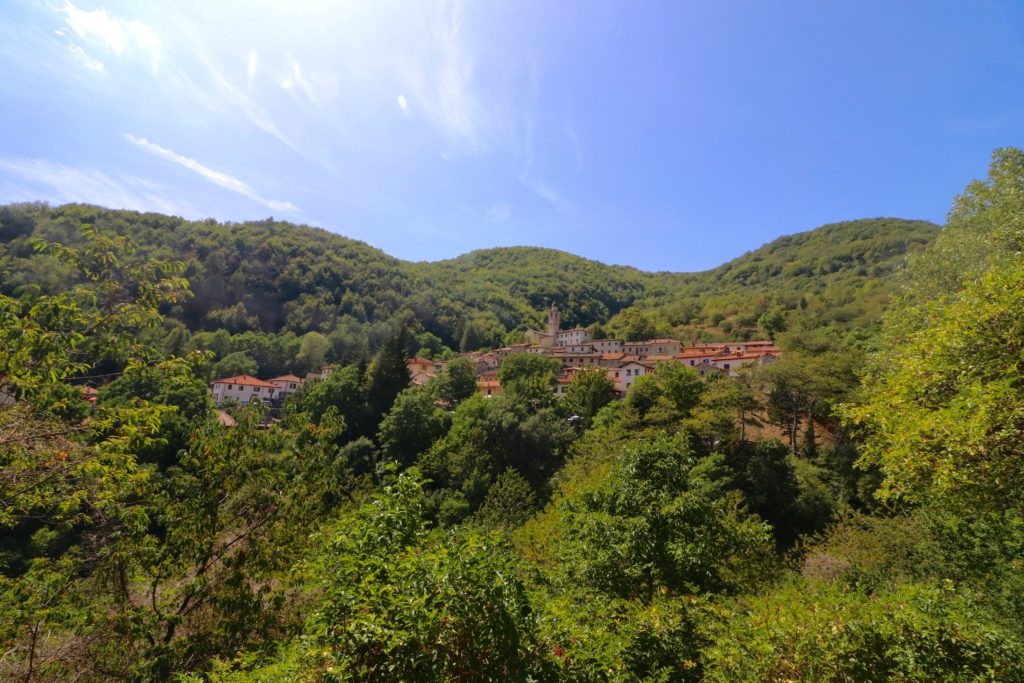 Negruzzo