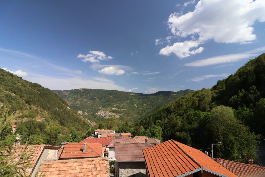 Negruzzo