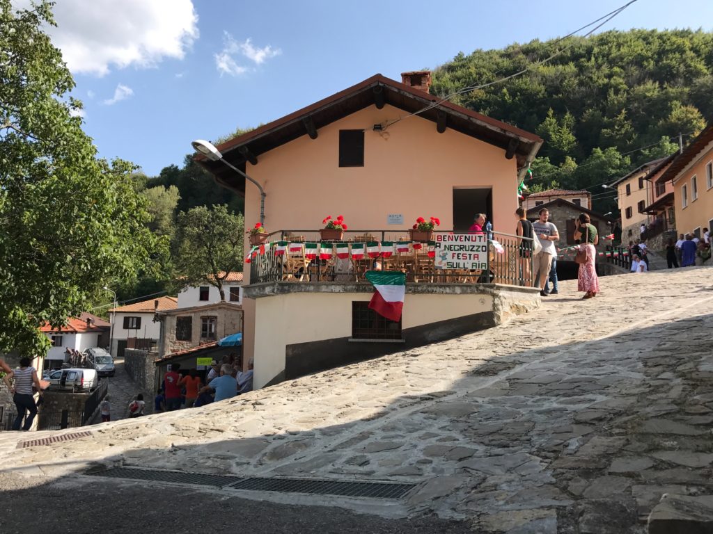Negruzzo