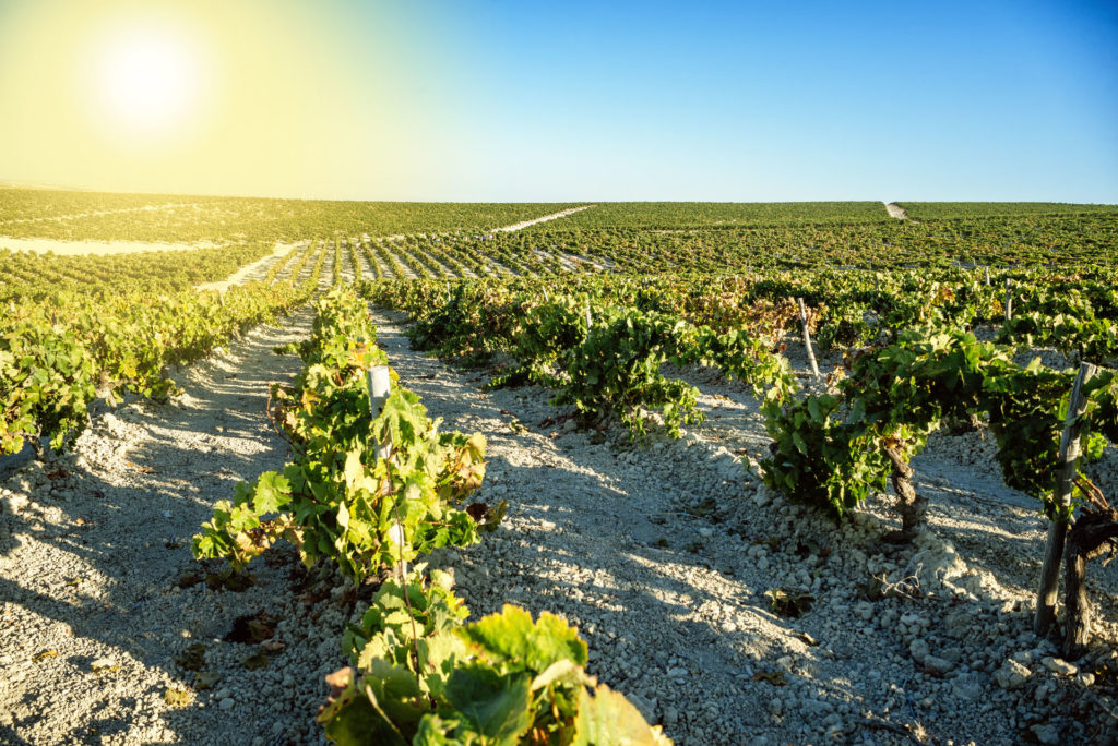 Jerez de la Frontera