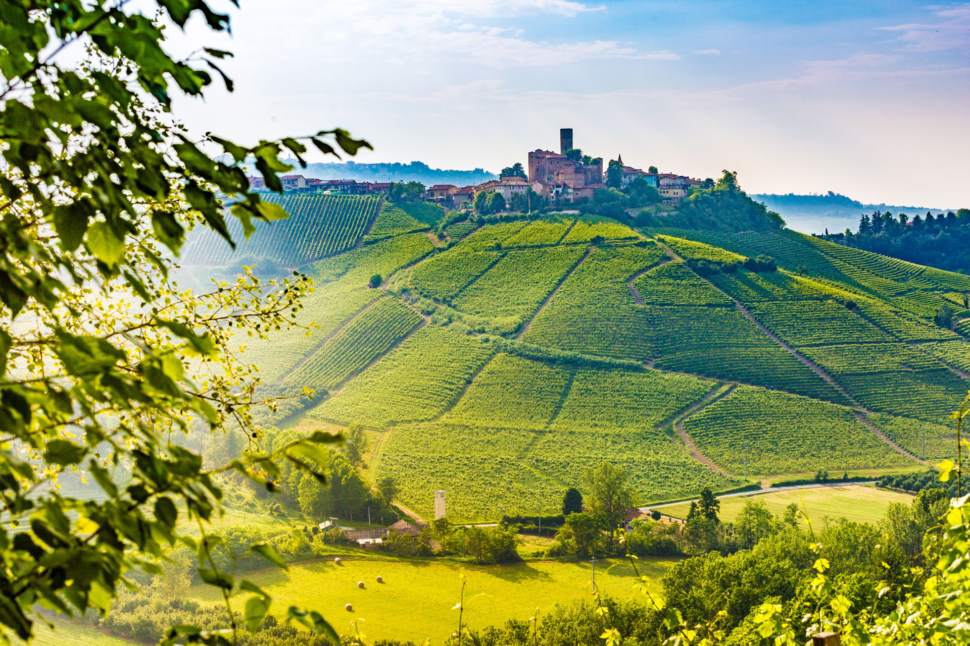 langhe