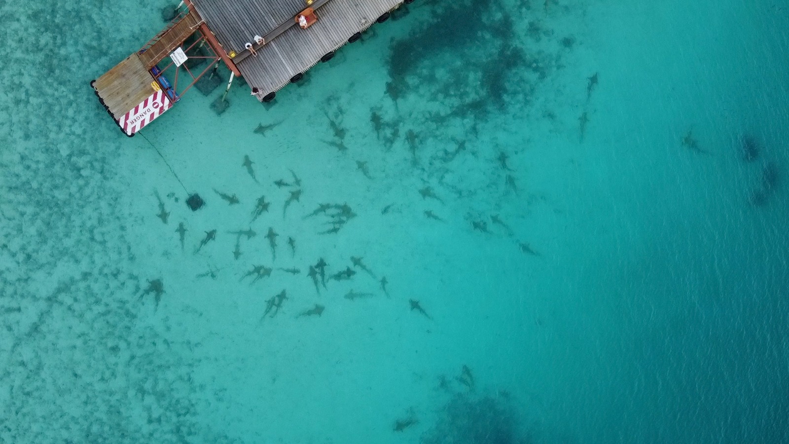 Maldive